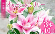 定期便10回 ユリ オリエンタルリリー 3本 花 切り花 プレゼント 贈り物 ギフト 誕生日 記念日 つぼみ 大輪 ピンク 白 香り 優雅 華麗 ブーケ フラワーアレンジメント 観賞用 インテリア 季節の花 高級感 花束 生花 福田園芸 オリエンタルハイブリッド 安芸市 高知県