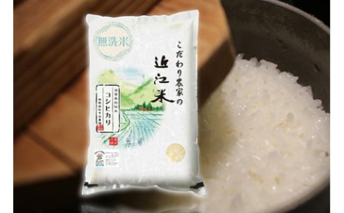 【7年産】近江米 環境こだわり栽培 コシヒカリ 無洗米【5kg×1】【BN14W】 5kg 米 こしひかり 新米 コシヒカリ おこめ 贈り物 人気米 ご飯 白米 コメ 贈答 滋賀県 近江八幡市 無洗米 2461473 - 滋賀県近江八幡市