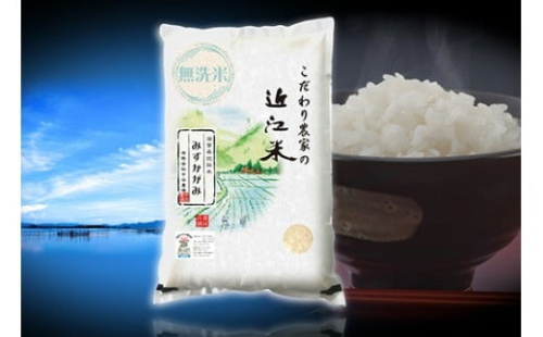 【7年産】近江米 環境こだわり栽培 みずかがみ 無洗米【5kg×1】【BN15W】みずかがみ 米 お米 こめ コメ 白米 ご飯 精米 5kg 10kg 国産 送料無料 おすすめ 人気 大人気 国産 ランキング 無洗米 2461474 - 滋賀県近江八幡市