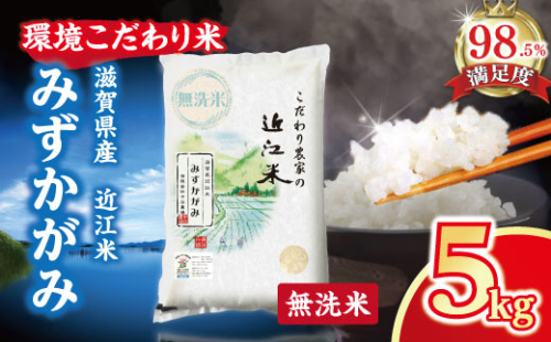 【7年産】近江米 環境こだわり米 みずかがみ 無洗米【5kg×1】【BN15W】みずかがみ 米 お米 こめ コメ 白米 ご飯 精米 5kg 10kg 国産 送料無料 おすすめ 人気 大人気 国産 ランキング 無洗米 2461474 - 滋賀県近江八幡市