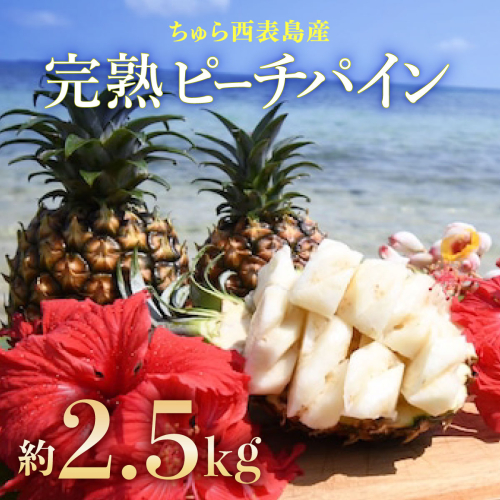 2026年 先行予約 ピーチパイン 約2.5kg 3?5玉 ちゅら西表島産!! ゆたか農園 完熟 パイン 果物 フルーツ パイナップル 2461485 - 沖縄県竹富町