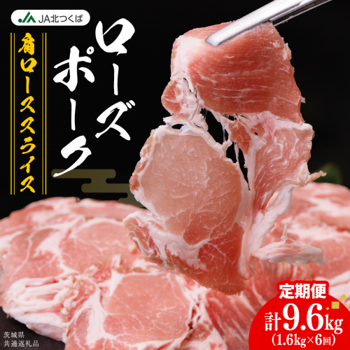 【 定期便 6ヶ月 】 JA北つくば ローズポーク 肩ロース スライス 1.6kg ( 800g × 2箱 ) ブランド豚 銘柄豚 豚肉 豚 肉 お肉 にく ロース 生姜焼き しゃぶしゃぶ 焼肉 バーベキュー ギフト 贈答 贈り物 茨城県共通返礼品 [AE071ci] 2461499 - 茨城県筑西市