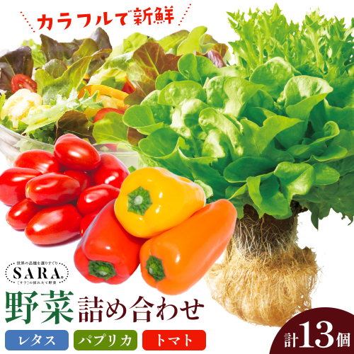サラ詰め合わせセット 野菜13個 サラトリオ 3個 プラムトマト 5個 フルーツパプリカ 5個 野菜 レタス 3種のレタス トマト パプリカ 《30日以内に出荷予定(土日祝を除く)》 笠岡アグリセンター 野菜 岡山県 笠岡市 2461503 - 岡山県笠岡市