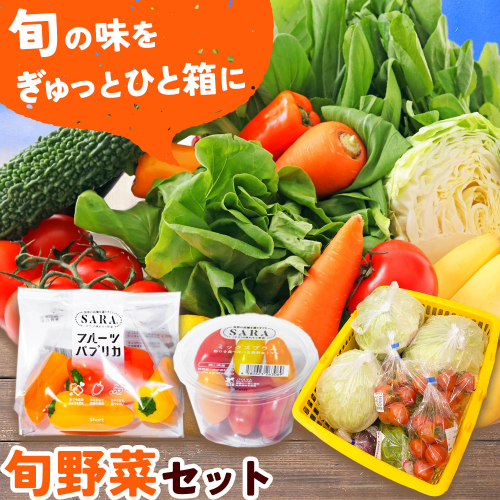 サラ商品とふるさとフレッシュ便 旬野菜セット 野菜 果物 プラムトマト パプリカ 《30日以内に出荷予定(土日祝を除く)》 笠岡アグリセンター 野菜 岡山県 笠岡市 2461504 - 岡山県笠岡市