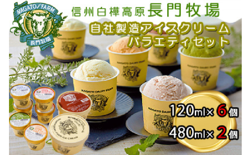 長門牧場　自社製造アイスクリーム　贅沢大容量サイズ入りバラエティセット　人気スイーツ　濃厚ミルク　直送　牛乳　生乳　国産　夏ギフト　長野県　贈答品　お土産　お中元　お歳暮　クリスマス 2461506 - 長野県長和町
