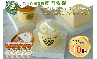 長門牧場アイスクリーム10個プレミアムセットCA-1　白い食べ比べセット（プレミアムフレーバー「ミルク＆バター」、バニラ各5個）　人気スイーツ　濃厚ミルク　直送　牛乳　生乳　国産　夏ギフト　長野県　贈答品　お土産　お中元　お歳暮　クリスマス