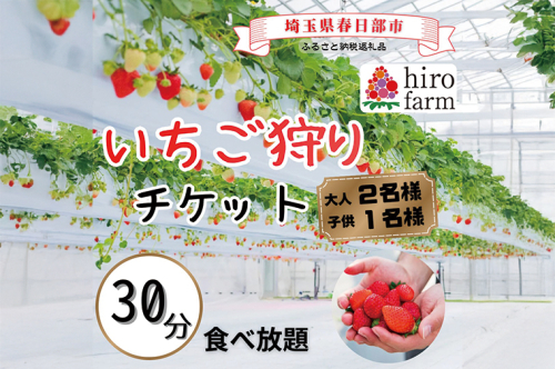 いちご狩り大人2名子供1名【埼玉県 春日部 いちご狩り 家族チケット 体験型 観光農園】（DI010） 2461526 - 埼玉県春日部市