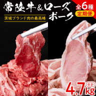 【 茨城ブランド肉の最高峰 】ローズポーク ＆ 常陸牛 贅沢 定期便 ( 全6種 ) ブランド豚 銘柄豚 豚肉 豚 肉 お肉 にく ロース 生姜焼き しゃぶしゃぶ 焼肉 バーベキュー 厚切り とんかつ ポークソテー トンテキ  牛肉 和牛 ギフト 贈答 贈り物 国産 茨城県産 茨城県共通返礼品 [AE083ci]