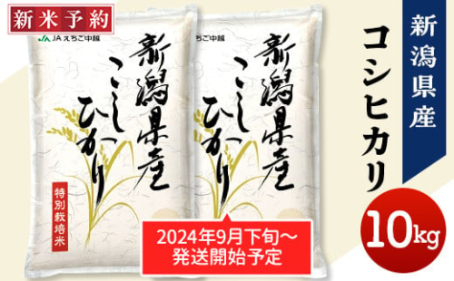75-6N101新潟県長岡産特別栽培米コシヒカリ10kg（5kg×2）