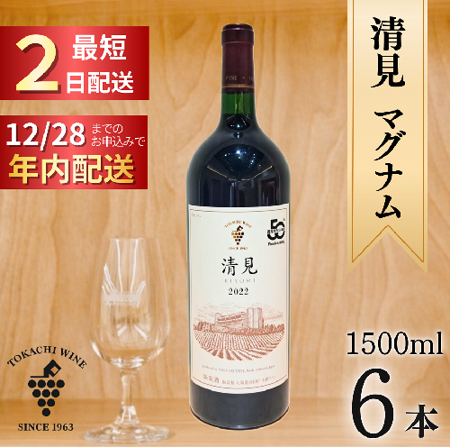 12/28申込分まで年内発送 清見2022 マグナム6本 9L 最短申込みから2日発送 北海道ワイン 北海道池田町 十勝ワイン 2461653 - 北海道池田町