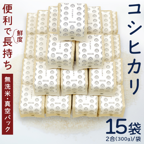 無洗米 コシヒカリ 真空 300g ( 2合 ) × 15袋 令和7年産 米 お米 コメ 茨城県 コシヒカリ こしひかり 新生活 応援 [EX001ci] 2461654 - 茨城県筑西市