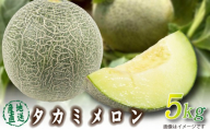 【2026年発送 先行予約】生産農家応援・もぎたて直送 タカミメロン 5kg程度（メロン フルーツ 果物 くだもの 先行受付 2026 宮崎）