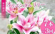定期便3回 ユリ オリエンタルリリー 7本 花 切り花 プレゼント 贈り物 ギフト 誕生日 記念日 つぼみ 大輪 ピンク 白 香り 優雅 華麗 ブーケ フラワーアレンジメント 観賞用 インテリア 季節の花 高級感 花束 生花 福田園芸 オリエンタルハイブリッド 安芸市 高知県