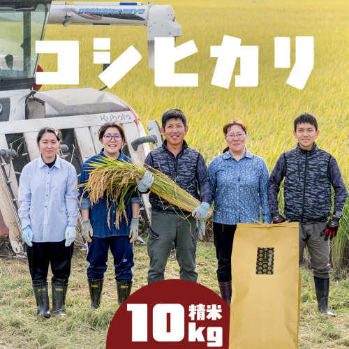 コシヒカリ 精米 10kg 令和7年産 米 お米 コメ 白米 こしひかり 茨城県 新生活 応援 [EX007ci] 2461776 - 茨城県筑西市