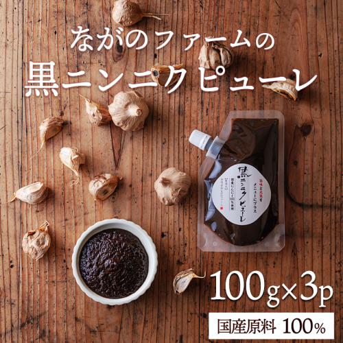 毎日の食卓に、簡単・便利・おいしい！ 国産黒ニンニクピューレ 100g×3p　TF0891-P00032 2461787 - 宮崎県高原町