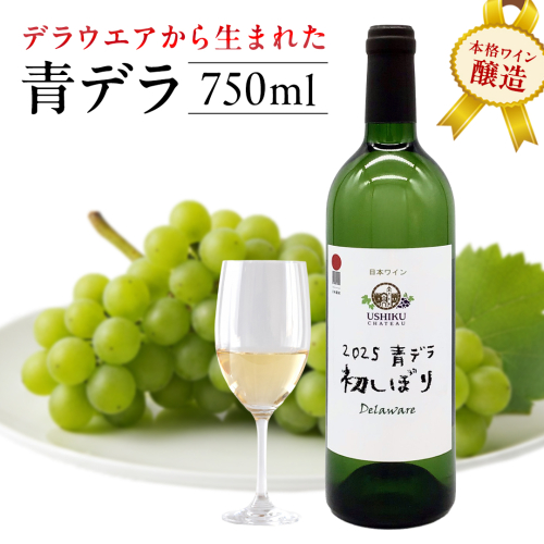 青デラ 750ml ワイン 白ワイン 白 酒 牛久シャトー デラウエア 2461791 - 茨城県牛久市