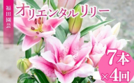 定期便4回 ユリ オリエンタルリリー 7本 花 切り花 プレゼント 贈り物 ギフト 誕生日 記念日 つぼみ 大輪 ピンク 白 香り 優雅 華麗 ブーケ フラワーアレンジメント 観賞用 インテリア 季節の花 高級感 花束 生花 福田園芸 オリエンタルハイブリッド 安芸市 高知県