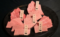 神戸牛 焼肉 希少部位食べ比べ5種 400g ミスジ ヒウチ 三角バラ トウガラシ マルシン 各１パック