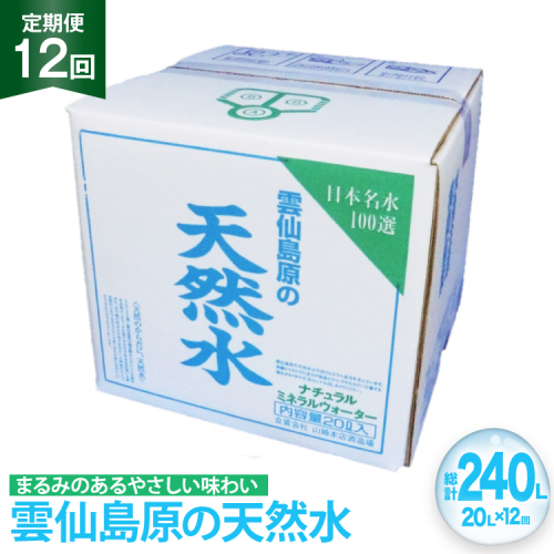 BE249 山崎本店酒造場 【12回定期便】 雲仙島原の天然水 20L [ 水 天然水 ウォーター おいしい 定期便 定期 1年 名水百選 大容量 日用品 軟水 長崎県 島原市 ] 2462212 - 長崎県島原市