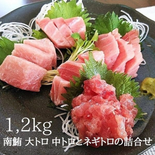 a30-228　天然南鮪　大トロ,中トロとネギトロの詰合せ 約1,2kg入り 2462221 - 静岡県焼津市