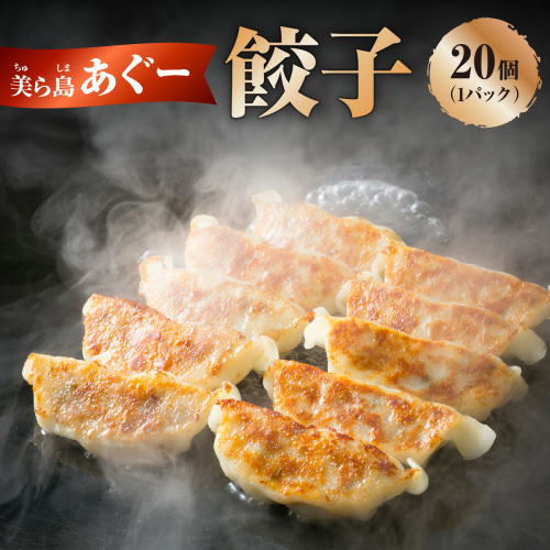 【美ら島あぐ〜】餃子（20個入り／1パック×20個入り） 2462223 - 沖縄県南城市