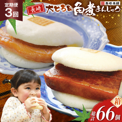 BJ083 岩崎本舗 【3回定期便】長崎角煮まんじゅう 12個入・大とろ角煮まんじゅう 10個入 (箱) [長崎県 島原市] 2462449 - 長崎県島原市