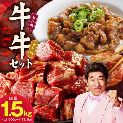 【氷温熟成×特製ダレ】牛ヒレ 500g＋牛すじ肉 1kg 総量1.5kg【味付き 訳あり サイズ不揃い 小分け 冷凍 SDGs フードロス カレー 煮込みに】 mrz0379 2462453 - 大阪府泉佐野市