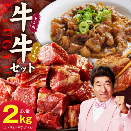 【氷温熟成×特製ダレ】牛ヒレ 1kg＋牛すじ肉 1kg 総量2kg【スピード発送 味付き 訳あり サイズ不揃い 小分け 冷凍 SDGs フードロス カレー 煮込みに】 mrz0380 2462454 - 大阪府泉佐野市
