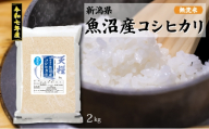 [№5224-1745]新潟産コシヒカリ2kg