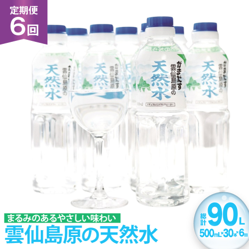 AJ616 山崎本店酒造場 【6回定期便】 雲仙島原の天然水 500mL 30本 計15L [ 水 ペットボトル 天然水 おいしい 備蓄 日用品 大容量 定期便 定期 名水百選 軟水 長崎県 島原市 ] 2462565 - 長崎県島原市