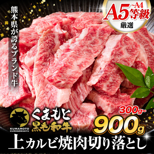 牛肉 A4～A5等級 黒毛和牛 切り落とし くまもと黒毛和牛 上 カルビ 焼肉切り落とし 300g 600g 900g《60日以内に出荷予定(土日祝除く)》熊本県 長洲町 上カルビ 焼肉用 焼肉 肉 お肉 和牛 A5 A4 300g 小分け 2462579 - 熊本県長洲町