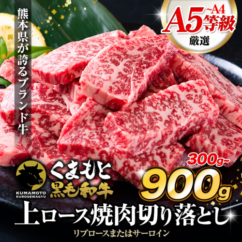 牛肉 A4～A5等級 黒毛和牛 切り落とし くまもと黒毛和牛 上 ロース 焼肉切り落とし 300g 600g 900g《30日以内に出荷予定(土日祝除く)》熊本県 長洲町 上ロース 焼肉用 焼肉 肉 お肉 和牛 A5 A4 300g 小分け リブロース サーロイン 2462580 - 熊本県長洲町