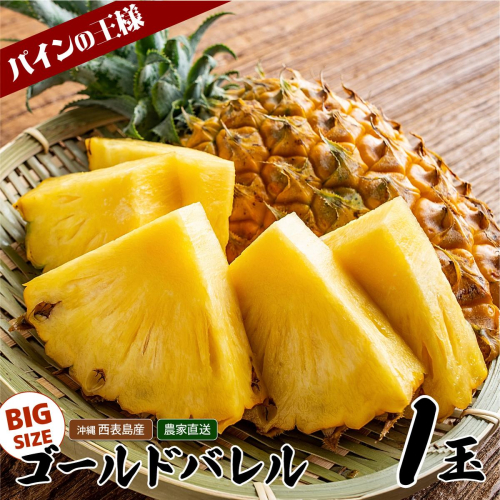 【2026年発送】ゴールドバレルビッグな１玉セット 2462582 - 沖縄県竹富町