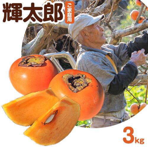 先行予約 ご家庭用 輝太郎柿 約3kg 岡崎ファーム《10月上旬-10月末頃より順次出荷》鳥取県 八頭町 柿 かき カキ 輝太郎 果物 フルーツ 2462588 - 鳥取県八頭町