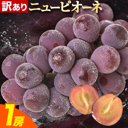 【先行予約】訳あり ニューピオーネ 約600g 1房 ブドウ 葡萄 果物 秋旬 訳あり 優品 厳選出荷 フルーツ デザート 岡山県 浅口市《8月下旬‐10月中旬頃出荷》ニューピオーネ 2462598 - 岡山県浅口市