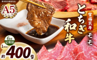 [定期便6回]宮福笑牛(とちぎ和牛) A5 モモ焼き肉 約400g｜数量限定 黒毛 和牛 牛肉 国産牛 国産 ブランド牛 お肉 切り落とし サシ 霜降り 甘い ステーキ すき焼き しゃぶしゃぶ 焼肉 切落し 上品 アレンジ 美味しい 料理 主婦 とちぎ  栃木県 矢板市