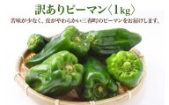 【先行予約】訳ありピーマン　1kg【2026年7月発送】　【07521-0140】