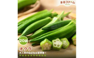 オクラ　20袋 ／ 新鮮 国産 野菜 夏野菜 ねばねば 食感 料理用 サラダ 天ぷら 和え物 下処理簡単 大容量 日常使い 千葉県 特産 No.378