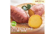 サツマイモ（栗かぐや） 10kg ／ さつまいも 栗かぐや 国産 新品種 希少品種 甘み ホクホク 食感 黄金色 果肉 焼き芋 料理用 大容量 日常使い 千葉県 特産 No.375