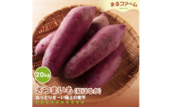 サツマイモ（紅はるか） 20kg ／ さつまいも 紅はるか 国産 新鮮 甘み しっとり 食感 焼き芋 お菓子作り たっぶり 大容量 料理用 常備しやすい 甘い系 千葉県 特産 No.387