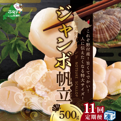 【毎月11ヶ月定期便】北海道 野付産 冷凍 ホタテ 貝柱 ジャンボホタテ500g 濃厚な旨味と甘み （ほたて ホタテ 帆立 貝柱 ホタテ貝柱 大玉 大粒 北海道 別海 野付 ふるさと納税） 2463609 - 北海道別海町