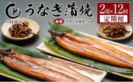 ＜定期便＞2尾×全12回 国産 うなぎ 蒲焼 有頭 計4.3kg以上（1回あたり 計362g以上） 肝焼き・たれ付き 宮崎県産 鰻 中村商店