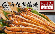＜定期便＞5尾×全12回 国産 うなぎ 蒲焼 有頭 計10.8kg以上（1回あたり 計905g以上） たれ付き 宮崎県産 鰻 中村商店