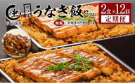 ＜12回定期便＞ 国産 ダブルうなぎ飯セット（1回あたり 320g×2食）肝焼き・たれ付き 宮崎県産 鰻 中村商店