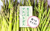 <Mサイズ：2.6kg＞　鮭川村産　アスパラガス