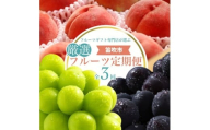 【2026年発送★先行予約】フルーツギフト専門店が選ぶ笛吹市の厳選フルーツ定期便　全3品種（桃・黒ぶどう・シャインマスカット） 105-027