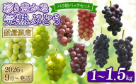 【先行予約】 2026年発送 彩り豊かな完熟ぶどう バラ粒パックセット 1.5kg 500g×3P 9種類 食べ比べ 数量限定 予約受付中 早期終了 予定あり ぶどう シャインマスカット 葡萄 希少品種 贈答 ギフト お取り寄せ フルーツ 果物 くだもの 新鮮 甘い 皮ごと 田原ぶどう園bigarre 奈良県 奈良市 奈良 なら tbb02