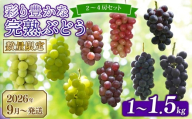 【先行予約】 2026年発送 彩り豊かな完熟ぶどう 2～3房セット 1kg 9種類 食べ比べ 数量限定 予約受付中 早期終了 予定あり ぶどう シャインマスカット 葡萄 希少品種 贈答 ギフト お取り寄せ フルーツ 果物 くだもの 新鮮 甘い 皮ごと 田原ぶどう園bigarre 奈良県 奈良市 奈良 なら tbb03