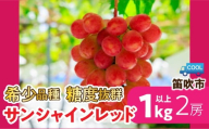【2026年発送★先行予約】希少品種糖度抜群「サンシャインレッド」2房約1㎏以上 106-025-26y