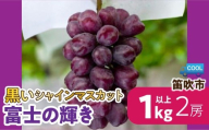 【2026年発送★先行予約】＜黒いシャインマスカット＞と呼ばれる蜂蜜のように甘い「富士の輝き」2房約1㎏以上 106-026-26y